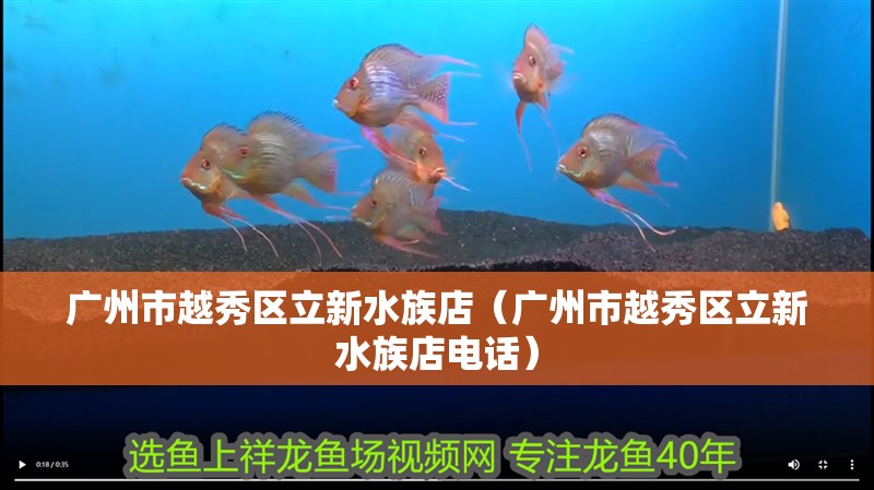 廣州市越秀區立新水族店（廣州市越秀區立新水族店電話）