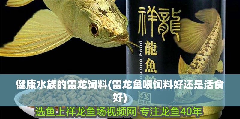 健康水族的雷龍飼料(雷龍魚喂飼料好還是活食好)