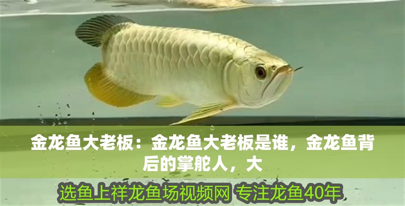 金龍魚大老板：金龍魚大老板是誰，金龍魚背后的掌舵人，大