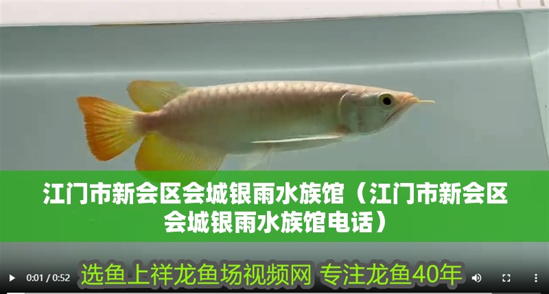 江門市新會區會城銀雨水族館（江門市新會區會城銀雨水族館電話）