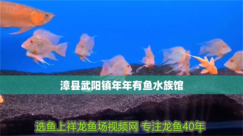 漳縣武陽鎮年年有魚水族館