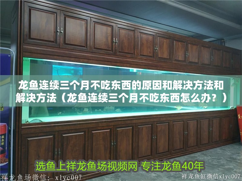 龍魚連續(xù)三個(gè)月不吃東西的原因和解決方法和解決方法（龍魚連續(xù)三個(gè)月不吃東西怎么辦？）