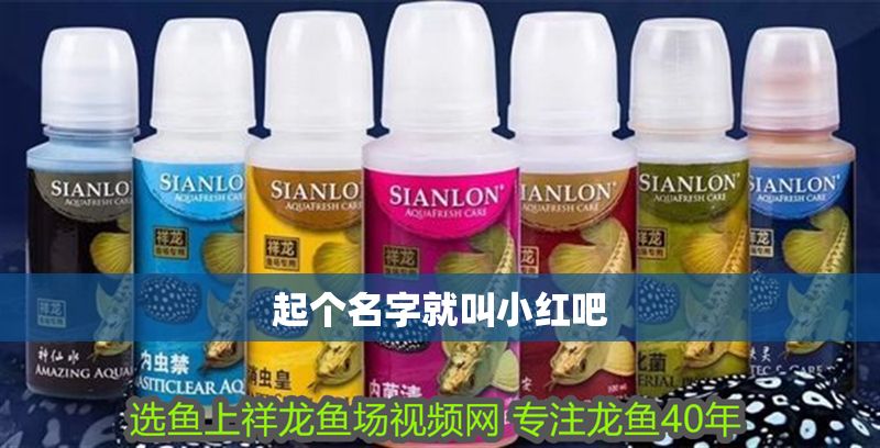 起個名字就叫小紅吧