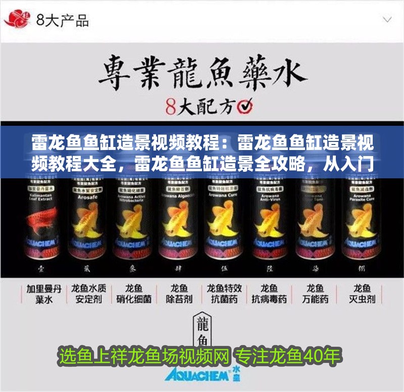 雷龍魚(yú)魚(yú)缸造景視頻教程：雷龍魚(yú)魚(yú)缸造景視頻教程大全，雷龍魚(yú)魚(yú)缸造景全攻略，從入門(mén)到精通的視頻