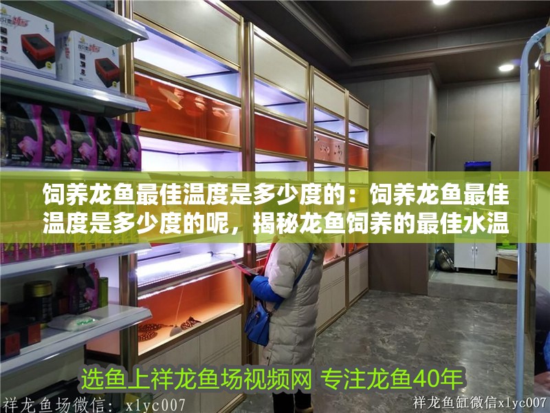 飼養(yǎng)龍魚最佳溫度是多少度的：飼養(yǎng)龍魚最佳溫度是多少度的呢，揭秘龍魚飼養(yǎng)的最佳水溫，科學養(yǎng)護