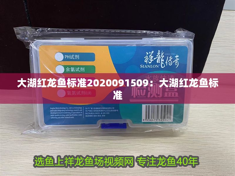 大湖紅龍魚標準2020091509：大湖紅龍魚標準