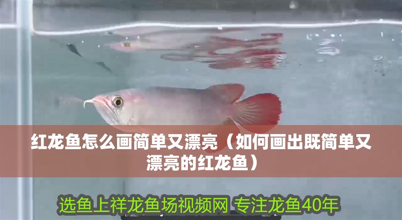 紅龍魚怎么畫簡單又漂亮（如何畫出既簡單又漂亮的紅龍魚）