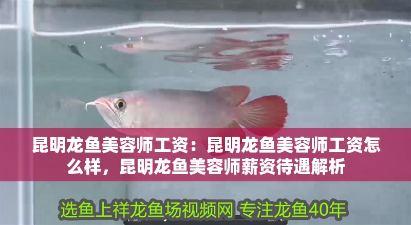 <strong><mark>昆明</mark></strong>龍魚美容師工資：<strong><mark>昆明</mark></strong>龍魚美容師工資怎么樣，<strong><mark>昆明</mark></strong>龍魚美容師薪資待遇解析