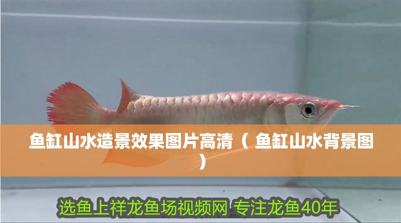 魚缸山水造景效果圖片高清（ 魚缸山水背景圖） 魚缸山水造景效果圖片高清（ 魚缸山水背景圖） 紅龍魚百科 第1張