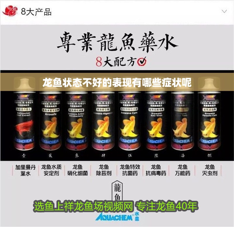 龍魚狀態不好的表現有哪些癥狀呢