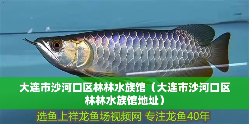 大連市沙河口區(qū)林林水族館（大連市沙河口區(qū)林林水族館地址）