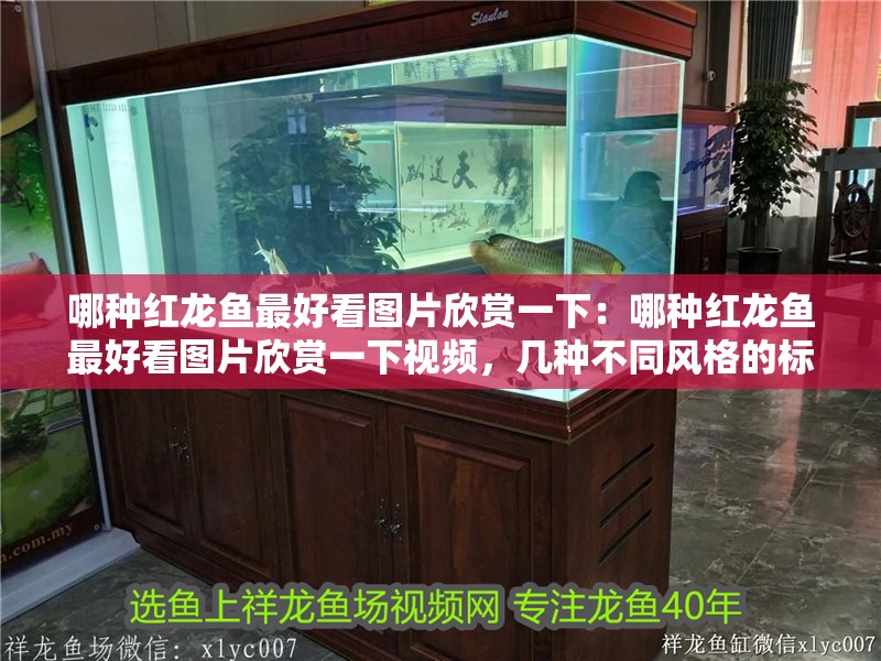 哪種紅龍魚最好看圖片欣賞一下：哪種紅龍魚最好看圖片欣賞一下視頻，幾種不同風(fēng)格的標題供你參考，你可以根據(jù)實際需求進行選擇，，驚艷視覺！探尋最美紅龍魚圖片與視頻大賞，絕美之選，哪種紅龍魚最好看？高清圖片及視頻全覽，聚焦顏值巔峰，盤點最好看的紅龍魚（附精美圖片 哪種紅龍魚最好看圖片欣賞一下：哪種紅龍魚最好看圖片欣賞一下視頻，幾種不同風(fēng)格的標題供你參考，你可以根據(jù)實際需求進行選擇，，驚艷視覺！探尋最美紅龍魚圖片與視頻大賞，絕美之選，哪種紅龍魚最好看？高清圖片及視頻全覽，聚焦顏值巔峰，盤點最好看的紅龍魚（附精美圖片 水族問答