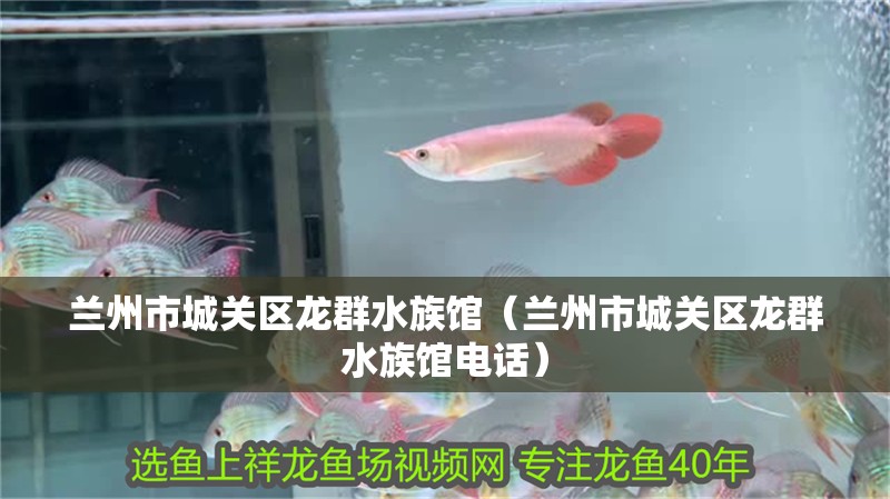 蘭州市城關區龍群水族館（蘭州市城關區龍群水族館電話） 蘭州市城關區龍群水族館（蘭州市城關區龍群水族館電話） 全國水族館企業名錄 第2張