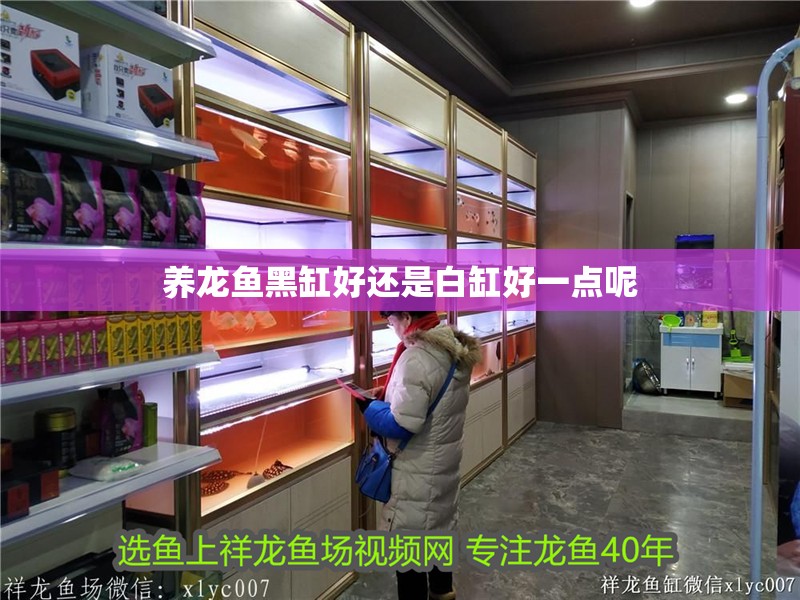 養(yǎng)龍魚黑缸好還是白缸好一點呢