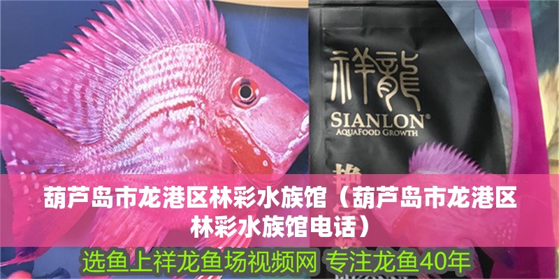 葫蘆島市龍港區林彩水族館（葫蘆島市龍港區林彩水族館電話）