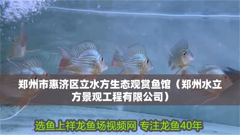 鄭州市惠濟區立水方生態觀賞魚館（鄭州水立方景觀工程有限公司） 鄭州市惠濟區立水方生態觀賞魚館（鄭州水立方景觀工程有限公司） 全國水族館企業名錄 第2張