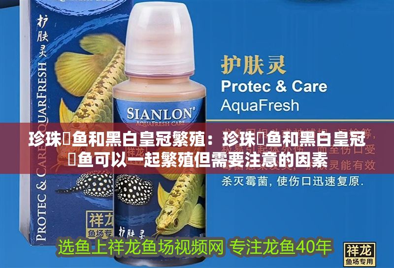珍珠魟魚和黑白皇冠繁殖：珍珠魟魚和黑白皇冠魟魚可以一起繁殖但需要注意的因素