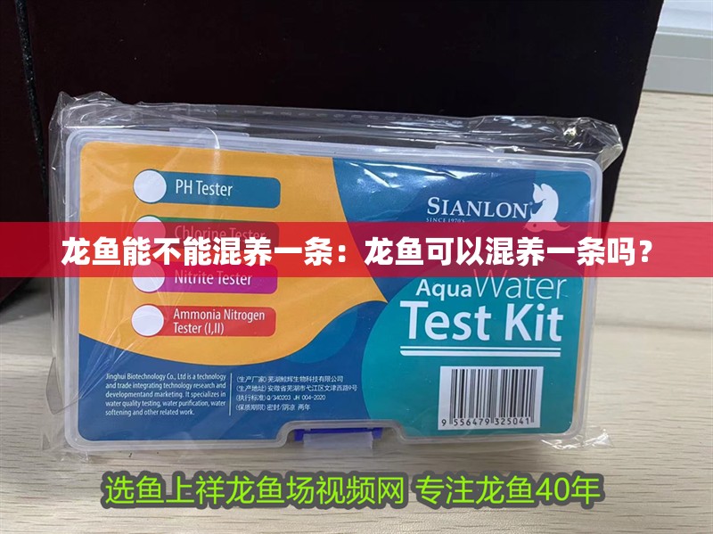 龍魚能不能混養一條:龍魚可以混養一條嗎? 龍魚百科 第4張 龍魚能不能混養一條:龍魚可以混養一條嗎? 龍魚能不能混養一條:龍魚可以混養一條嗎? 龍魚百科 第4張