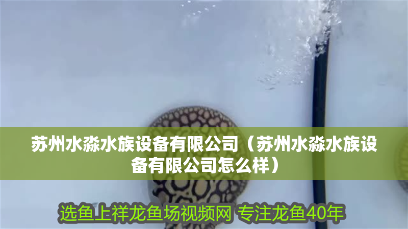 蘇州水淼水族設備有限公司（蘇州水淼水族設備有限公司怎么樣）