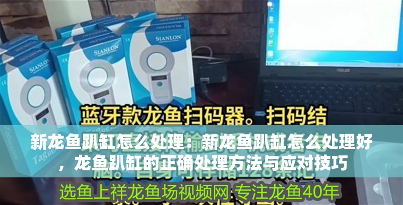 新龍魚趴缸怎么處理：新龍魚趴缸怎么處理好，龍魚趴缸的正確處理方法與應對技巧