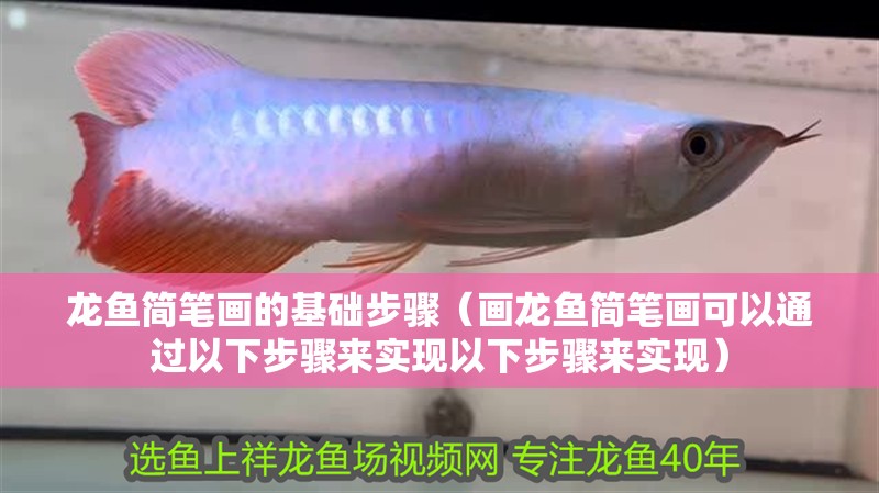龍魚簡筆畫的基礎步驟（畫龍魚簡筆畫可以通過以下步驟來實現以下步驟來實現） 龍魚簡筆畫的基礎步驟（畫龍魚簡筆畫可以通過以下步驟來實現以下步驟來實現） 龍魚百科 第4張