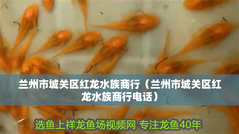 蘭州市城關區紅龍水族商行（蘭州市城關區紅龍水族商行電話）