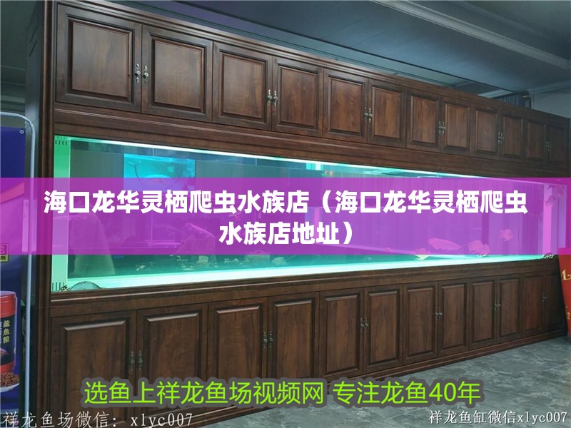 ?？邶埲A靈棲爬蟲水族店（?？邶埲A靈棲爬蟲水族店地址）