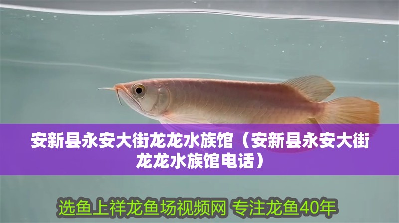 安新縣永安大街龍龍水族館(安新縣永安大街龍龍水族館電話) 全國水族館企業名錄 第2張 安新縣永安大街龍龍水族館(安新縣永安大街龍龍水族館電話) 安新縣永安大街龍龍水族館(安新縣永安大街龍龍水族館電話) 全國水族館企業名錄 第2張