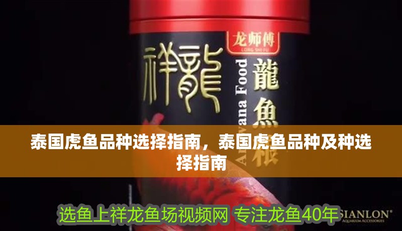 泰國虎魚品種選擇指南，泰國虎魚品種及種選擇指南