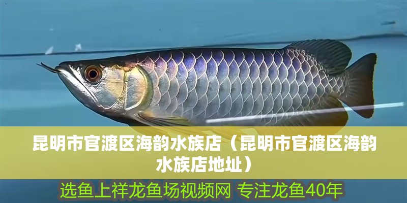 昆明市官渡區海韻水族店（昆明市官渡區海韻水族店地址） 昆明市官渡區海韻水族店（昆明市官渡區海韻水族店地址） 全國水族館企業名錄 第2張
