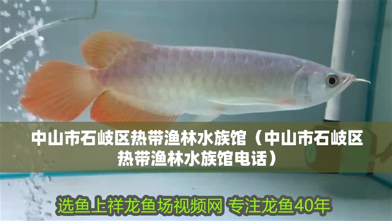 中山市石岐區熱帶漁林水族館（中山市石岐區熱帶漁林水族館電話） 中山市石岐區熱帶漁林水族館（中山市石岐區熱帶漁林水族館電話） 全國水族館企業名錄 第2張