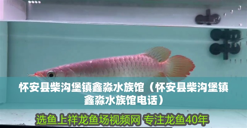 懷安縣柴溝堡鎮鑫淼水族館(懷安縣柴溝堡鎮鑫淼水族館電話) 全國水族館企業名錄 第2張 懷安縣柴溝堡鎮鑫淼水族館(懷安縣柴溝堡鎮鑫淼水族館電話) 懷安縣柴溝堡鎮鑫淼水族館(懷安縣柴溝堡鎮鑫淼水族館電話) 全國水族館企業名錄 第2張