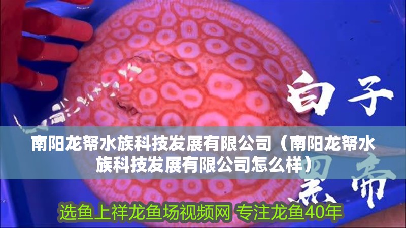 南陽龍帑水族科技發展有限公司（南陽龍帑水族科技發展有限公司怎么樣） 南陽龍帑水族科技發展有限公司（南陽龍帑水族科技發展有限公司怎么樣） 全國水族館企業名錄 第2張