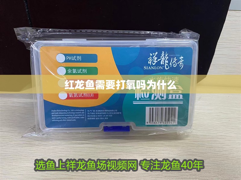 紅龍魚需要打氧嗎為什么