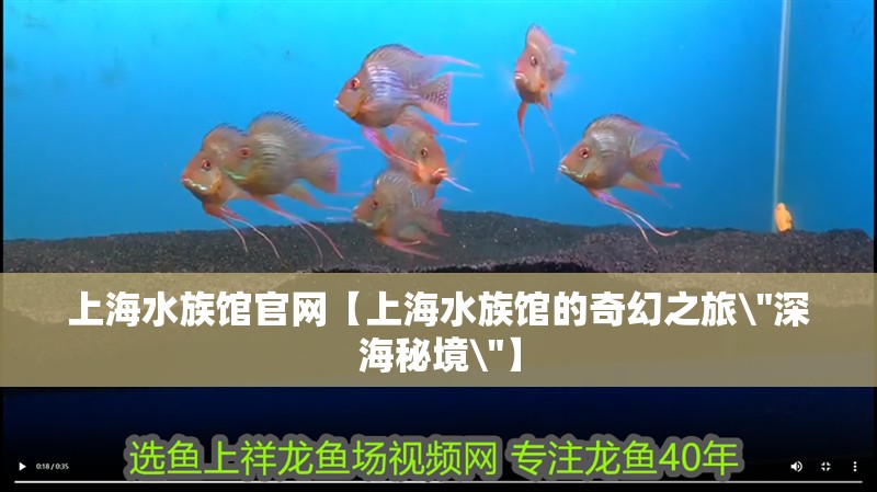 上海水族館官網【上海水族館的奇幻之旅\ 上海水族館官網【上海水族館的奇幻之旅 上海水族館官網【上海水族館的奇幻之旅\