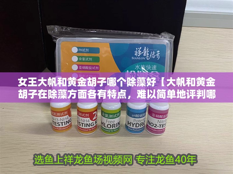 女王大帆和黃金胡子哪個除藻好【大帆和黃金胡子在除藻方面各有特點，難以簡單地評判哪個更好】