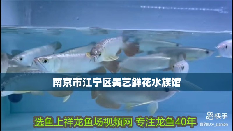 南京市江寧區美藝鮮花水族館 南京市江寧區美藝鮮花水族館 全國水族館企業名錄 第2張