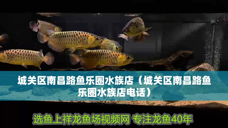 城關區南昌路魚樂圈水族店（城關區南昌路魚樂圈水族店電話） 城關區南昌路魚樂圈水族店（城關區南昌路魚樂圈水族店電話） 全國水族館企業名錄 第2張