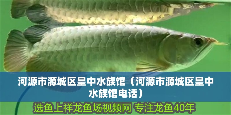 河源市源城區(qū)皇中水族館（河源市源城區(qū)皇中水族館電話）