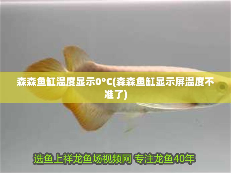 森森魚缸溫度顯示0°C(森森魚缸顯示屏溫度不準(zhǔn)了)