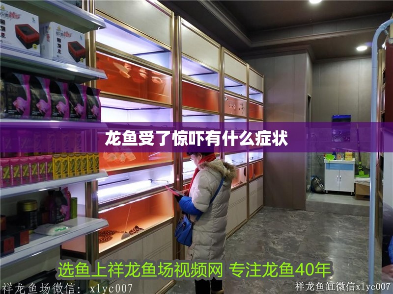 龍魚受了驚嚇有什么癥狀