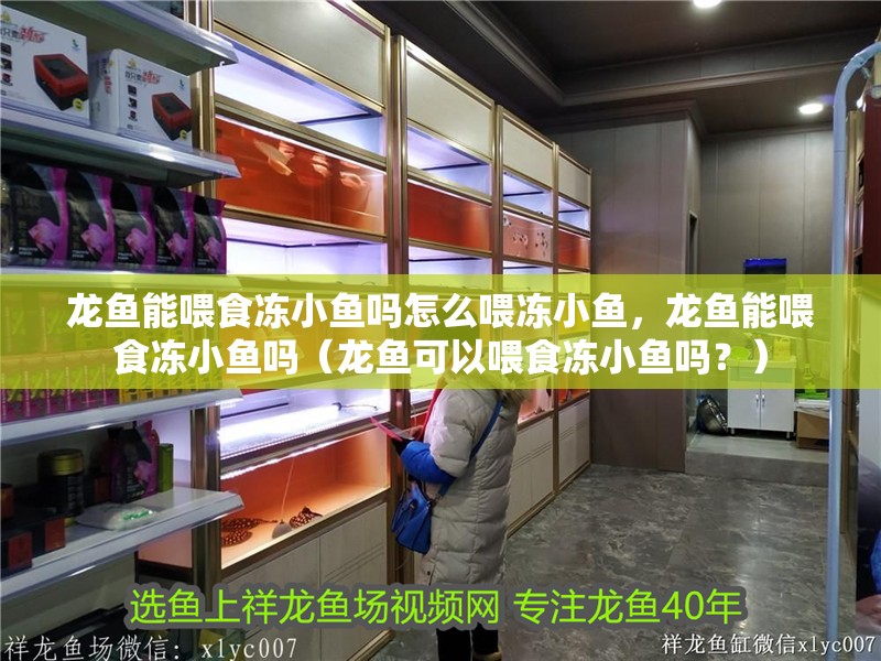 龍魚能喂食凍小魚嗎怎么喂凍小魚，龍魚能喂食凍小魚嗎（龍魚可以喂食凍小魚嗎？） 龍魚能喂食凍小魚嗎怎么喂凍小魚，龍魚能喂食凍小魚嗎（龍魚可以喂食凍小魚嗎？） 龍魚百科 第4張