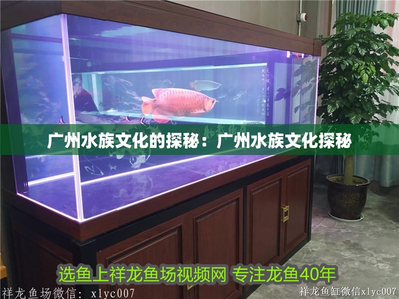 廣州水族文化的探秘：廣州水族文化探秘