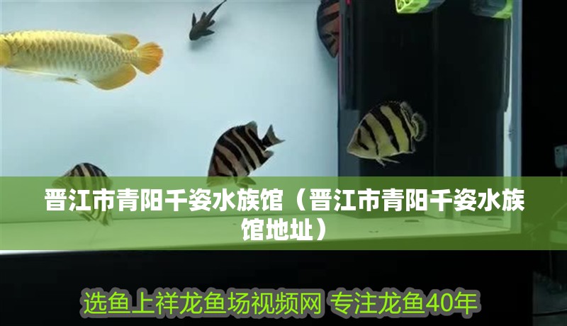 晉江市青陽千姿水族館（晉江市青陽千姿水族館地址）