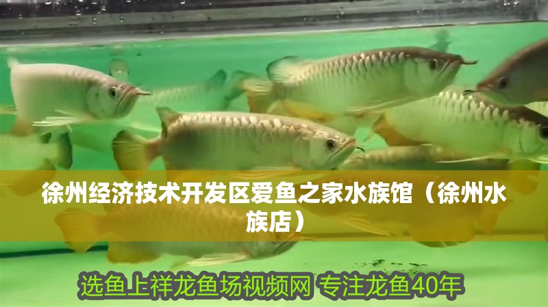 徐州經濟技術開發區愛魚之家水族館(徐州水族店) 全國水族館企業名錄 第2張 徐州經濟技術開發區愛魚之家水族館(徐州水族店) 徐州經濟技術開發區愛魚之家水族館(徐州水族店) 全國水族館企業名錄 第2張