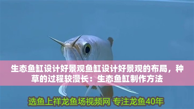 生態魚缸設計好景觀魚缸設計好景觀的布局，種草的過程較漫長：生態魚缸制作方法