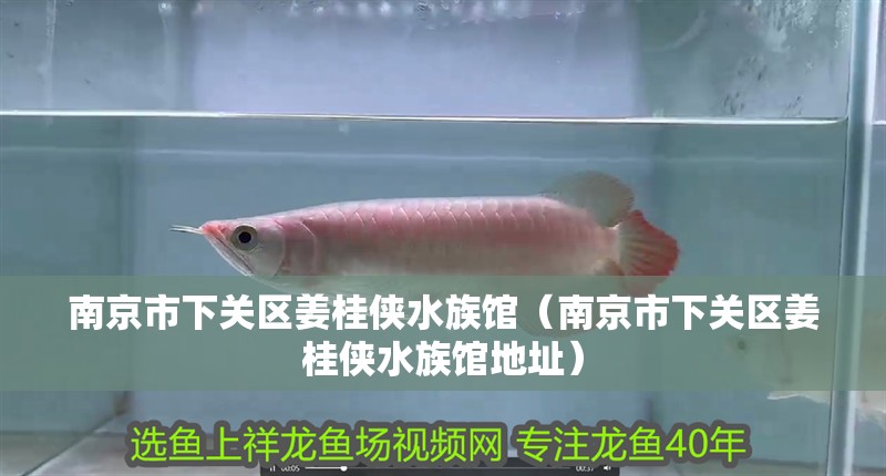 南京市下關(guān)區(qū)姜桂俠水族館(南京市下關(guān)區(qū)姜桂俠水族館地址) 全國(guó)水族館企業(yè)名錄 第2張 南京市下關(guān)區(qū)姜桂俠水族館(南京市下關(guān)區(qū)姜桂俠水族館地址) 南京市下關(guān)區(qū)姜桂俠水族館(南京市下關(guān)區(qū)姜桂俠水族館地址) 全國(guó)水族館企業(yè)名錄 第2張