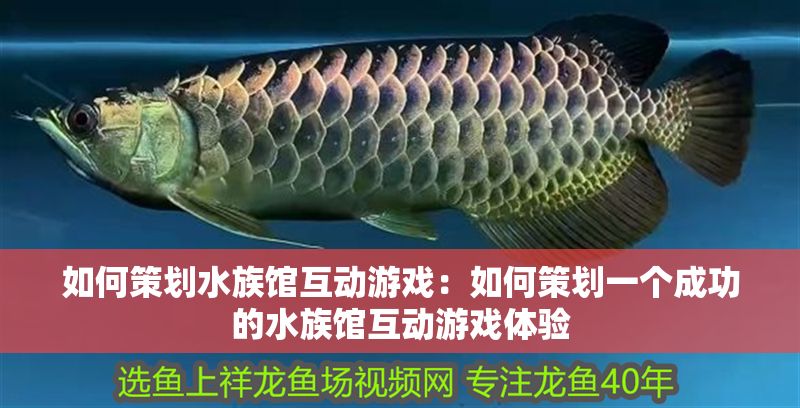 如何策劃水族館互動游戲：如何策劃一個成功的水族館互動游戲體驗