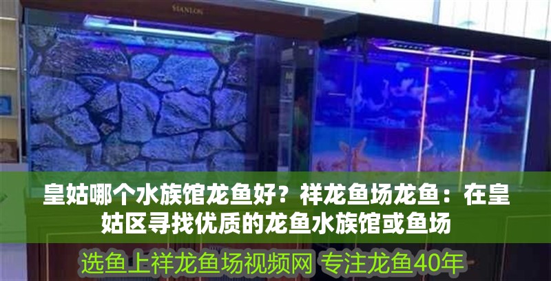 皇姑哪個水族館龍魚好？祥龍魚場龍魚：在皇姑區尋找優質的龍魚水族館或魚場 皇姑哪個水族館龍魚好？祥龍魚場龍魚：在皇姑區尋找優質的龍魚水族館或魚場 龍魚百科