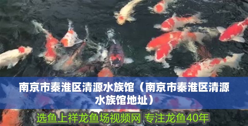 南京市秦淮區清源水族館（南京市秦淮區清源水族館地址）